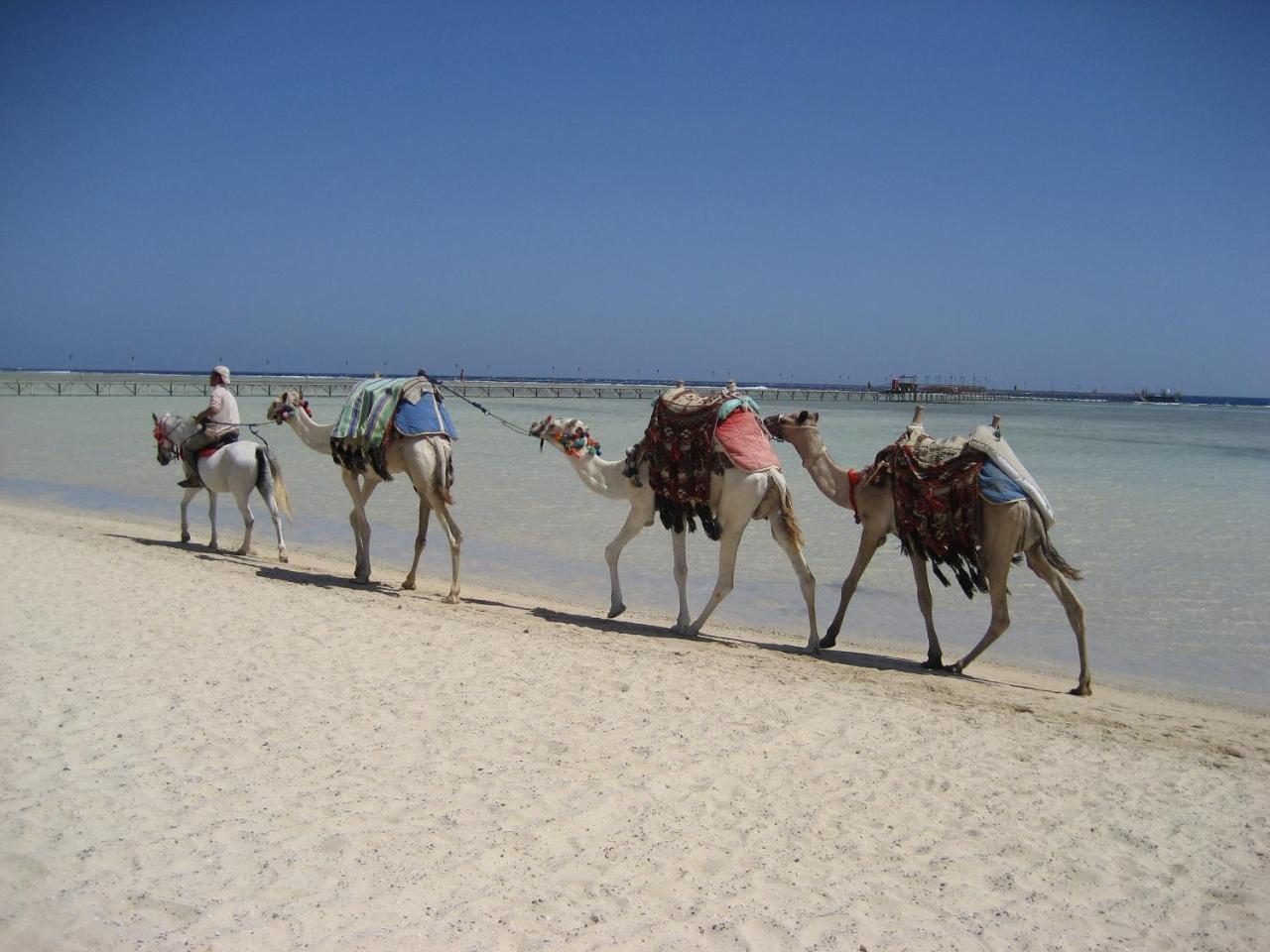 Bliss Marina Beach Resort Marsa Alam エクステリア 写真